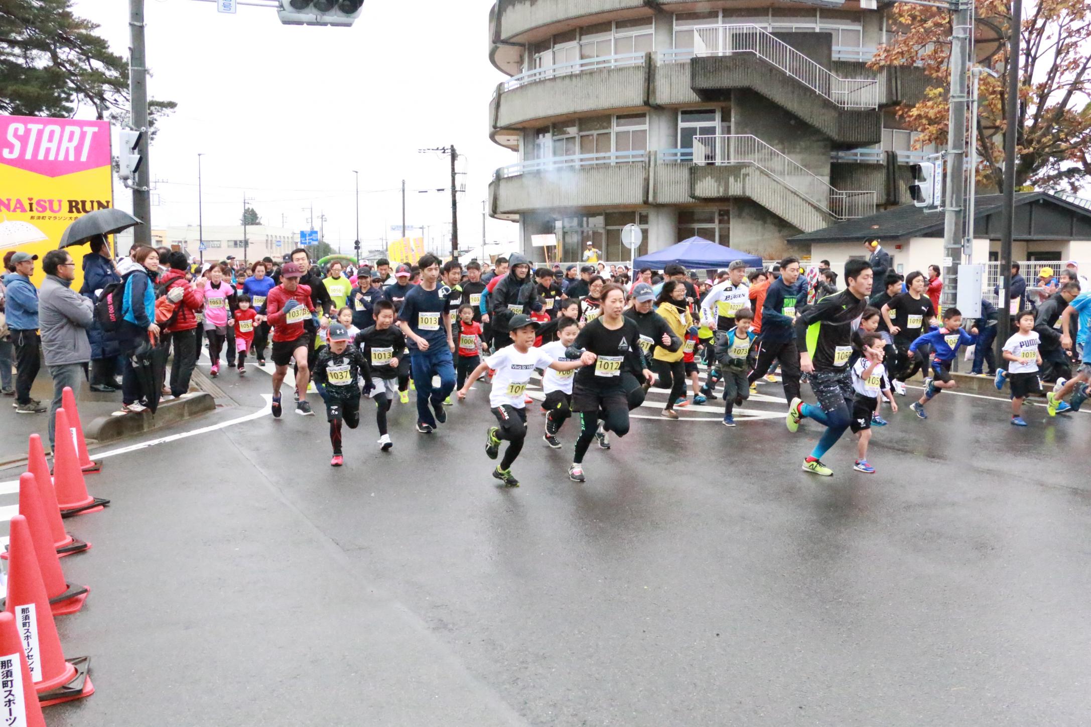 NAiSU RUN 2019