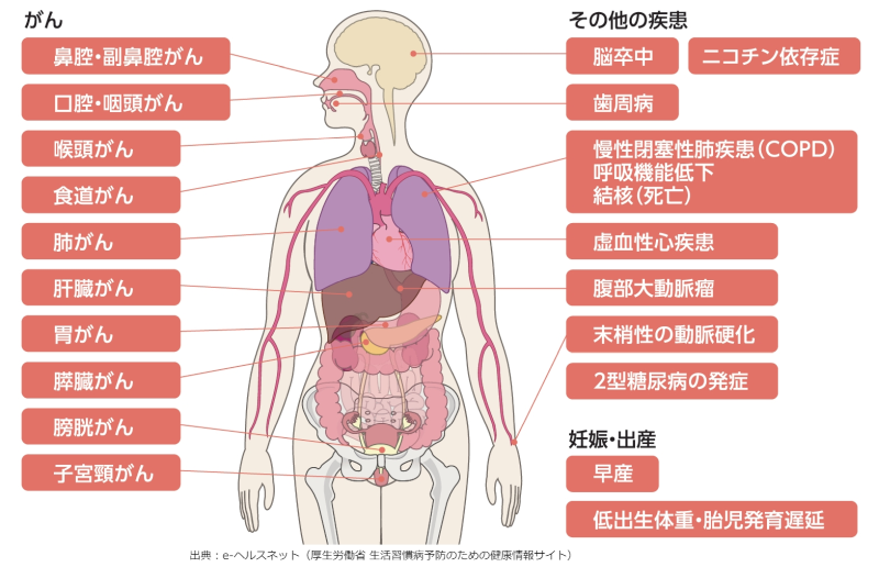 たばこ健康問題 たばこ健康問題