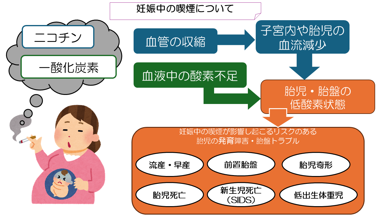 たばこ妊婦 たばこ妊婦