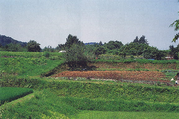 何耕地縄文式遺跡 何耕地縄文式遺跡