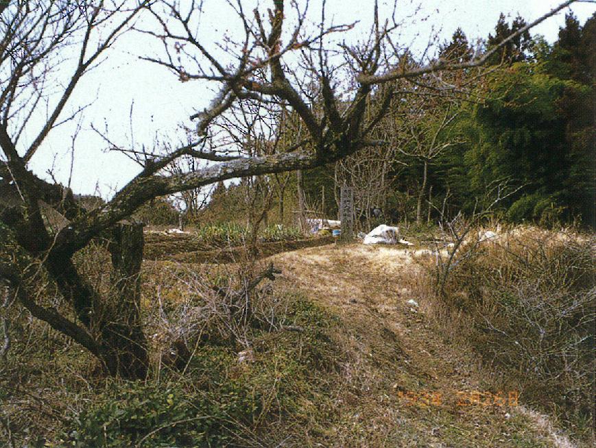 行人塚前期縄文遺跡 行人塚前期縄文遺跡