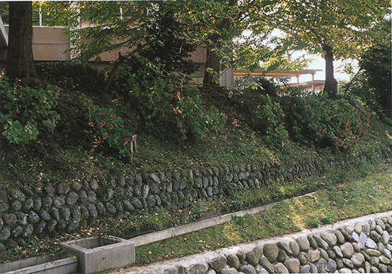 伊王野氏居館跡