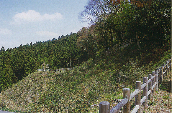 館山山城跡 館山山城跡