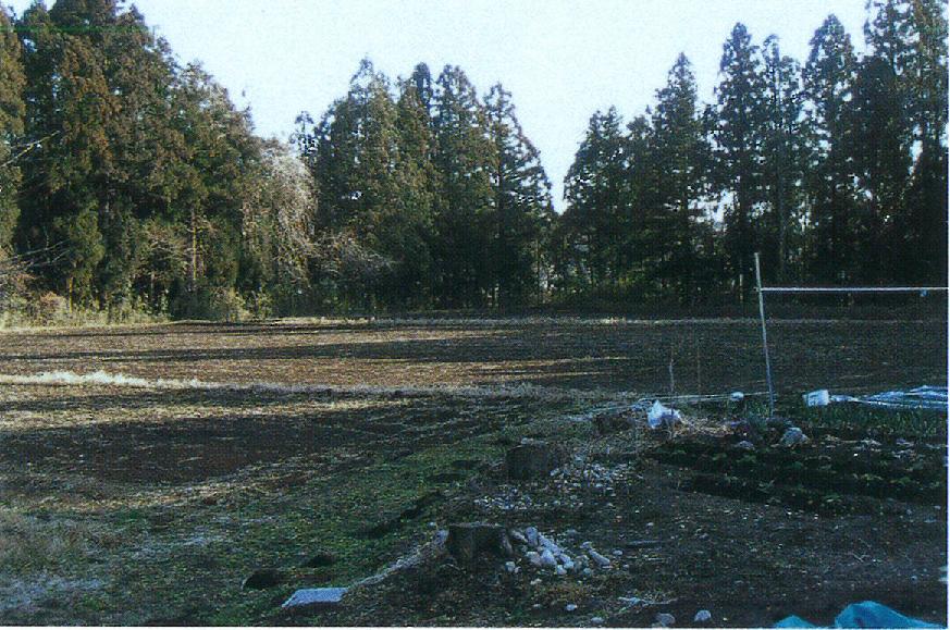 鮎瀬氏居館跡 鮎瀬氏居館跡