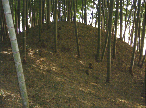 唐木田古墳 唐木田古墳