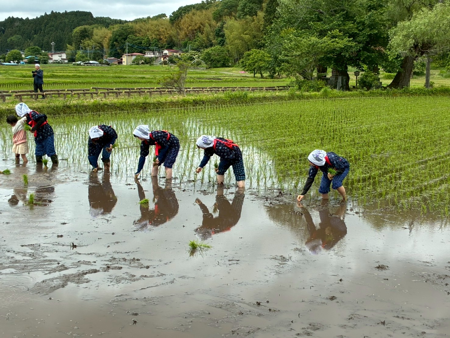 田植えまつり3
