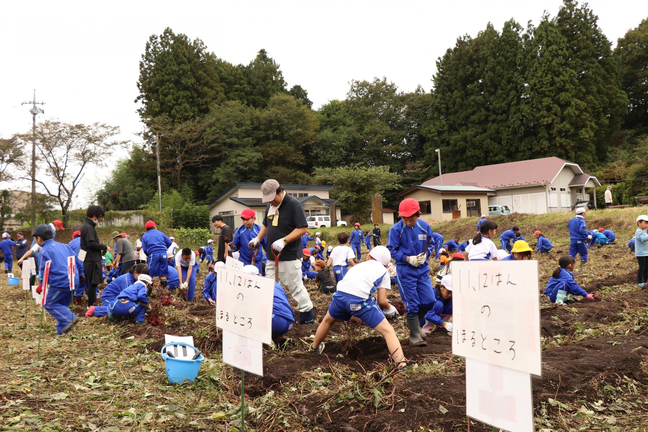 660d4087-cbfa-4557-ac4d-61629fc38662