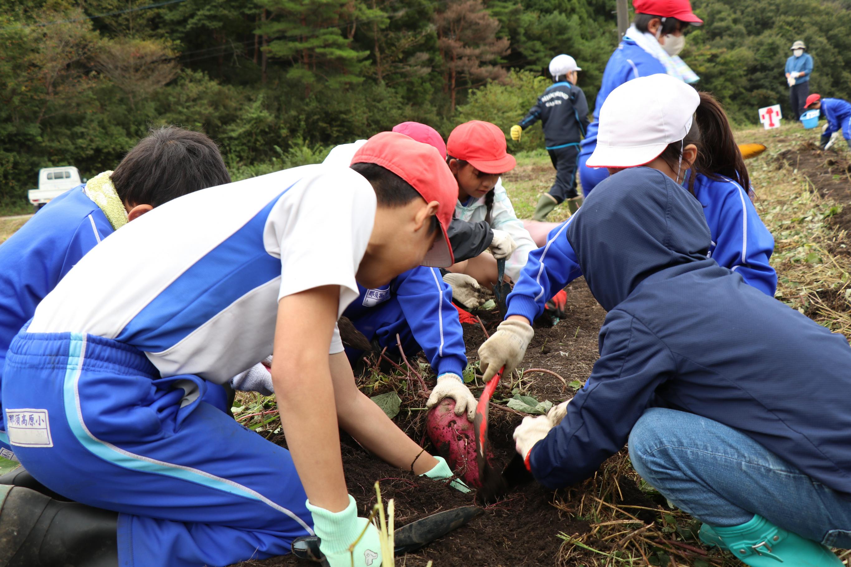 f7724aa9-5830-49d9-81af-8289d4eef874