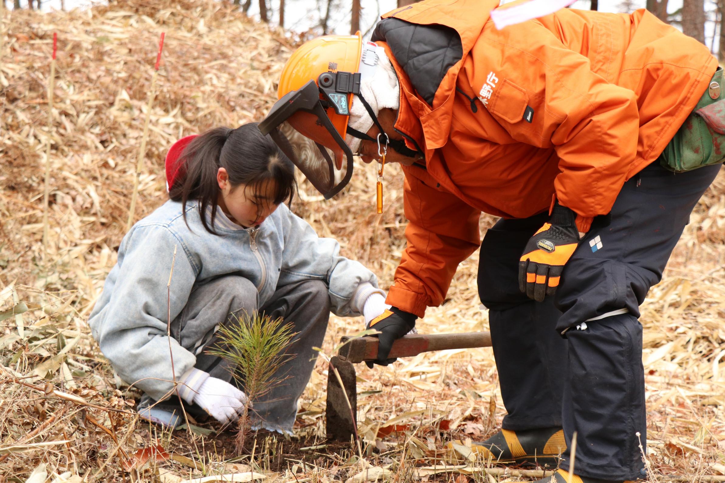 那須街道のアカマツ林にアカマツの苗を植樹している高久小学校の児童の写真