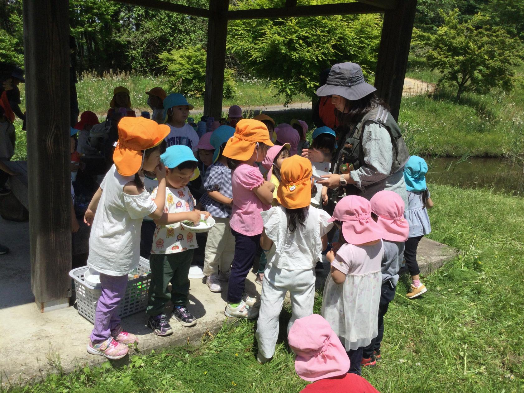 伊王野2 伊王野2