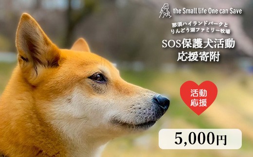 SOS保護犬活動 SOS保護犬活動